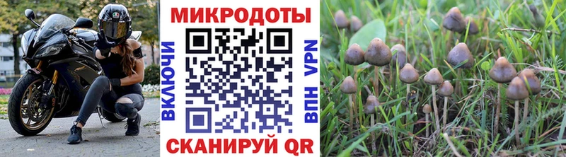 shop состав  Дегтярск  Галлюциногенные грибы Psilocybine cubensis 